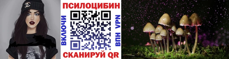 Псилоцибиновые грибы Cubensis  Камень-на-Оби 
